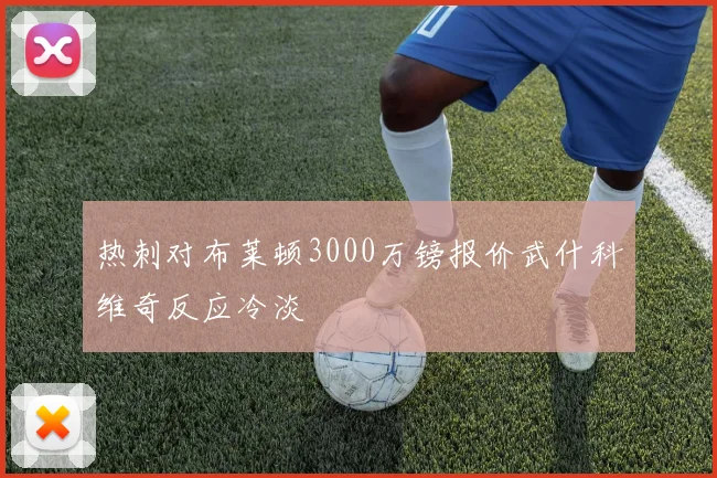 热刺对布莱顿3000万镑报价武什科维奇反应冷淡