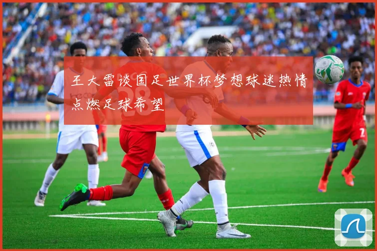 王大雷谈国足世界杯梦想球迷热情点燃足球希望